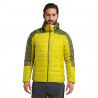 Aurora / Olive Green