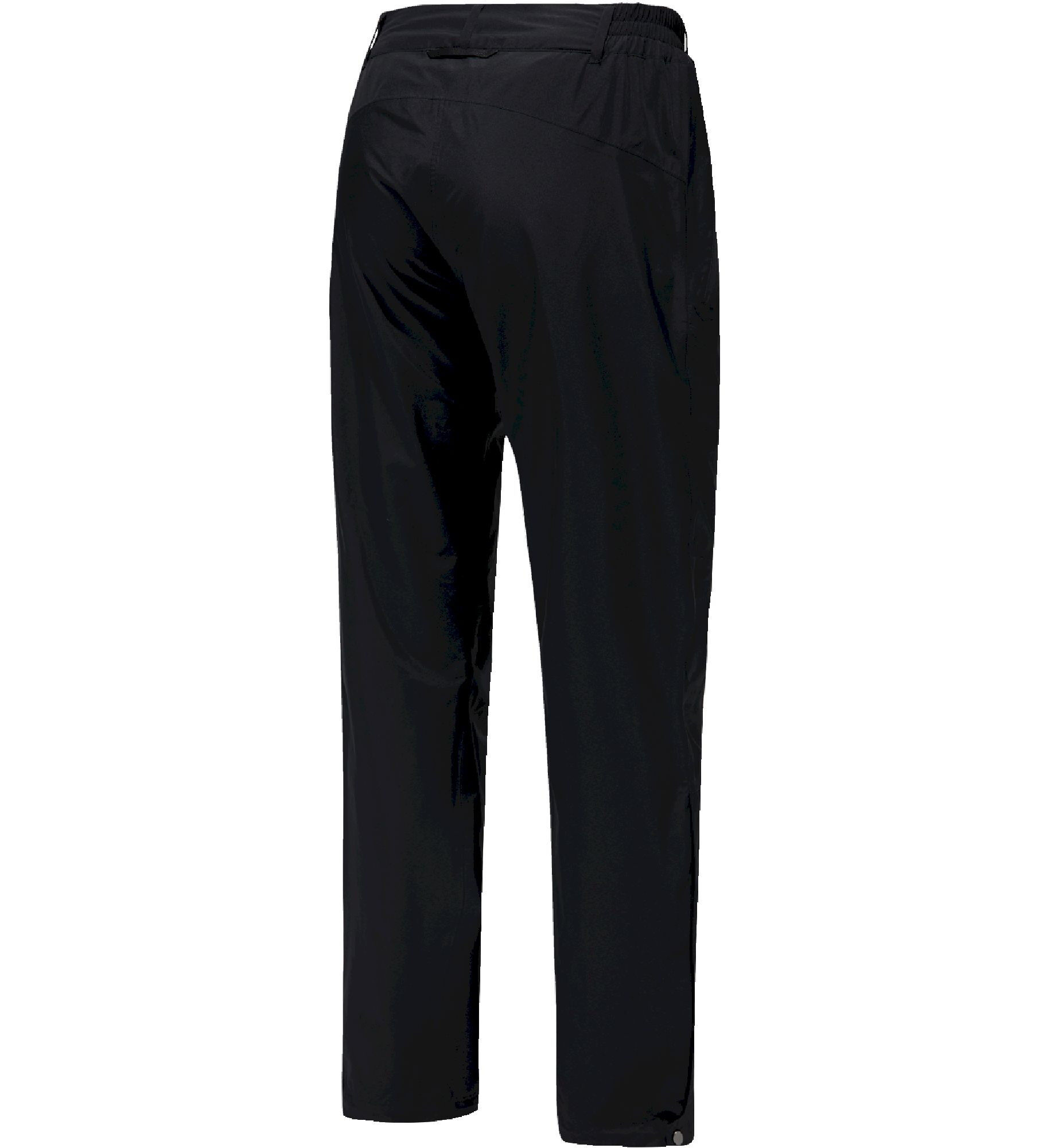 Haglöfs Astral GTX Pant Men - Pantalon randonnée homme | Hardloop