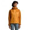 Desert yellow / Golden brown