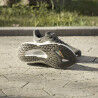 adidas Solarboost 5 - Buty do biegania damskie | Hardloop