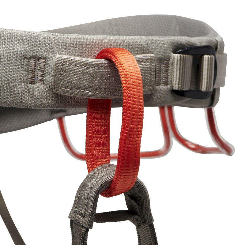 Black Diamond Momentum Harness - Climbing harness - Men's | Hardloop