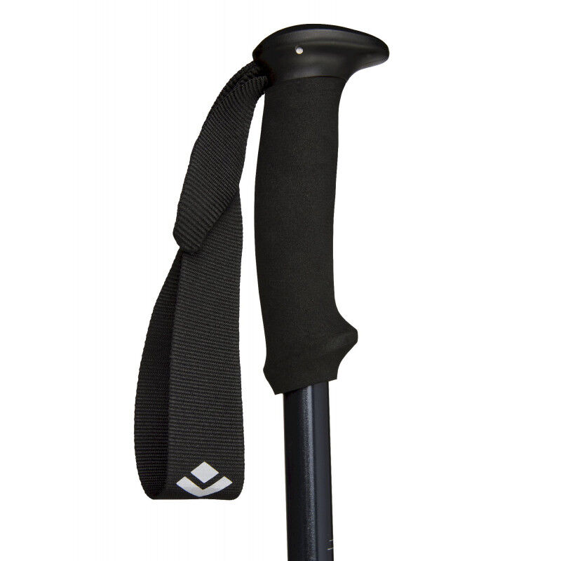 Black Diamond Explorer 2 - Trekkingstöcke | Hardloop