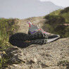 adidas Terrex Free Hiker 2 - Walking shoes - Women's | Hardloop
