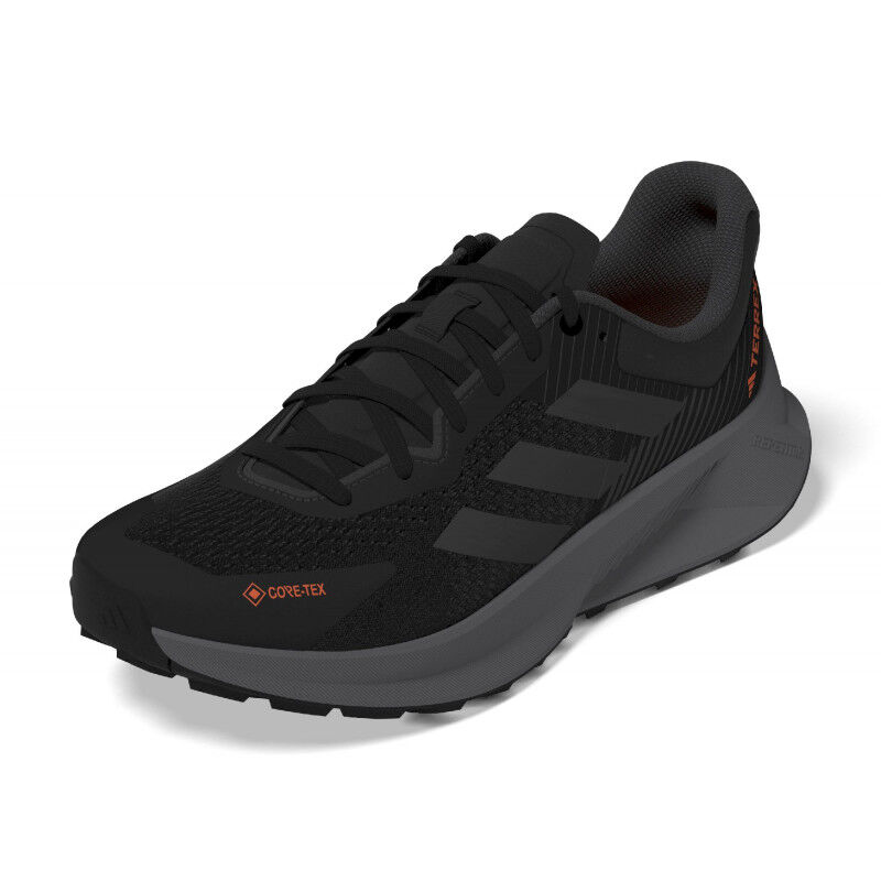 Adidas Terrex Soulstride Flow GTX - Chaussures trail homme | Hardloop