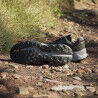 Adidas Terrex Soulstride Flow GTX - Trail running shoes - Men's | Hardloop