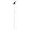 Summit Poles Nepal Carbon - Bastões de caminhada | Hardloop