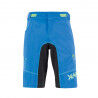 Indigo Bunting / Black / Green Fluo