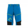 Indigo Bunting / Black / Green Fluo