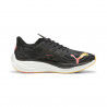 Black / Silver / Sun Stream