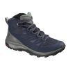 Medieval Blue / Castor Gray