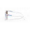 Oakley Frogskins - Zonnebril