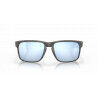 Oakley Holbrook - Okulary przeciwsłoneczne | Hardloop
