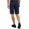 Haglöfs L.I.M Fuse Shorts - Pantalones cortos de trekking - Hombre | Hardloop