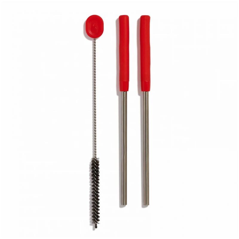 Stainless Steel Straw Set - Sugerøre