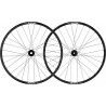 Mavic Deemax DH 29 | 20 x 110 - 12 x 157 mm | 6 Trous - Par de rodas BTT 29" | Hardloop