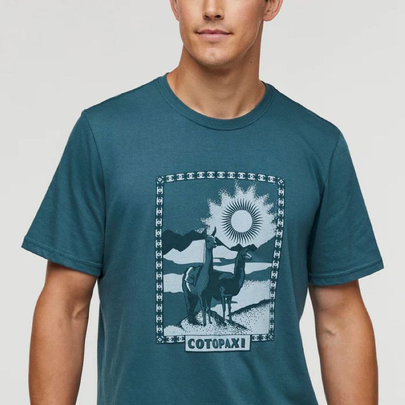 Cotopaxi Llama Greetings Organic T-Shirt - T-shirt meski | Hardloop