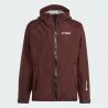 Shared Red Brown