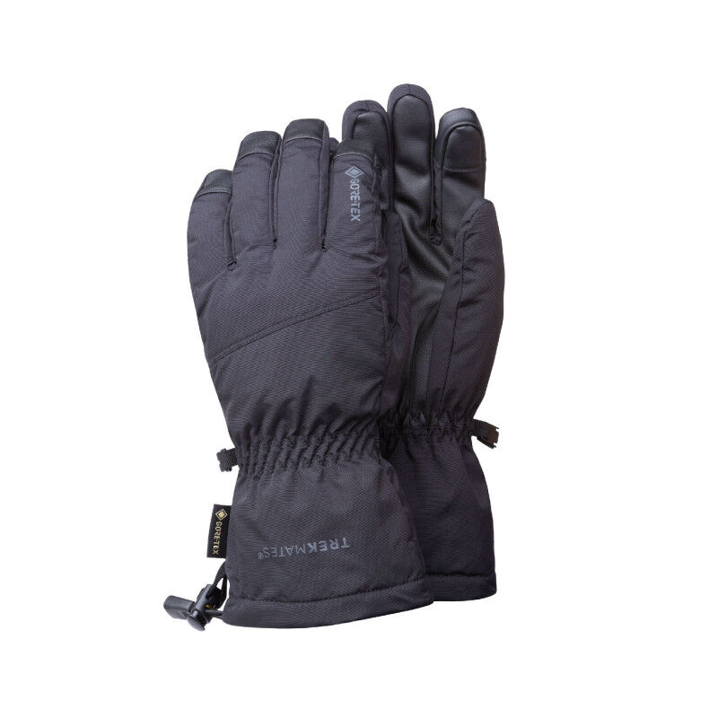 Chamonix GTX Glove - Pánské lyžařské rukavice