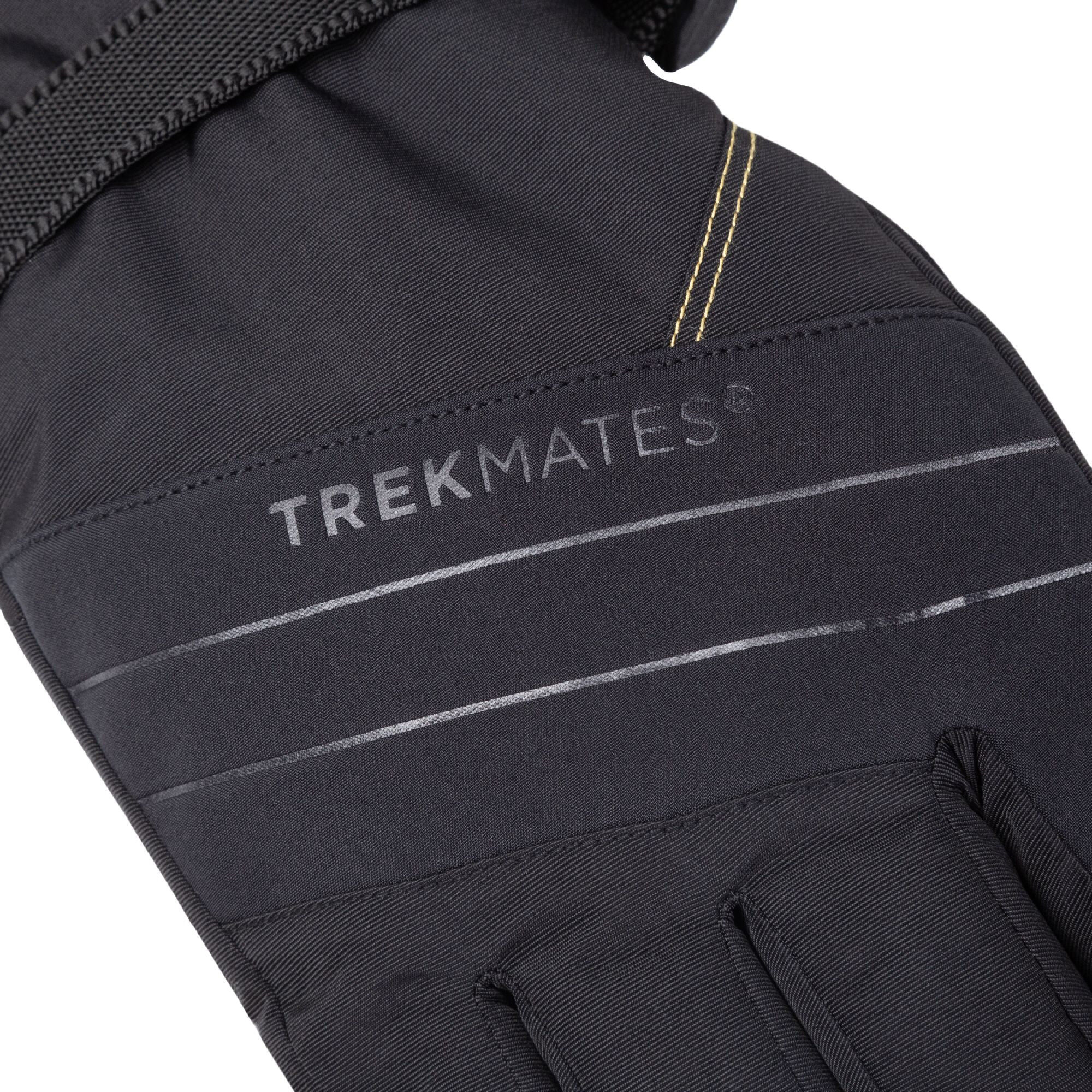Trekmates Matterhorn GTX Glove - Rękawice narciarskie | Hardloop