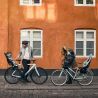 Thule Yepp 2 Mini - Child bike seat | Hardloop