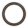Bronze Sidewall