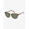 Shiny Tortoise Brown / Green