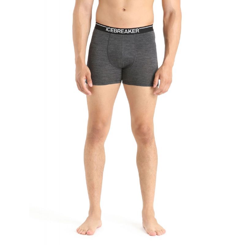 Icebreaker - Anatomica Boxers - Underwear - Men's