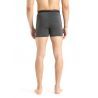 Icebreaker - Anatomica Boxers - Underwear - Men's
