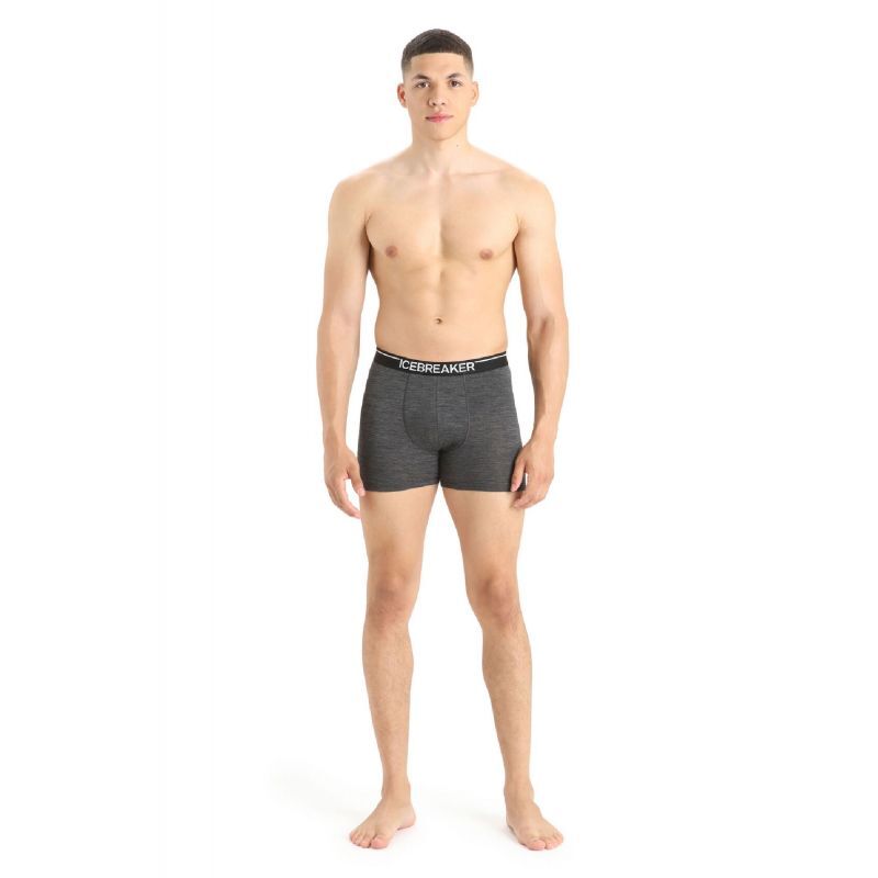 Icebreaker Anatomica Boxers - Bokserki | Hardloop