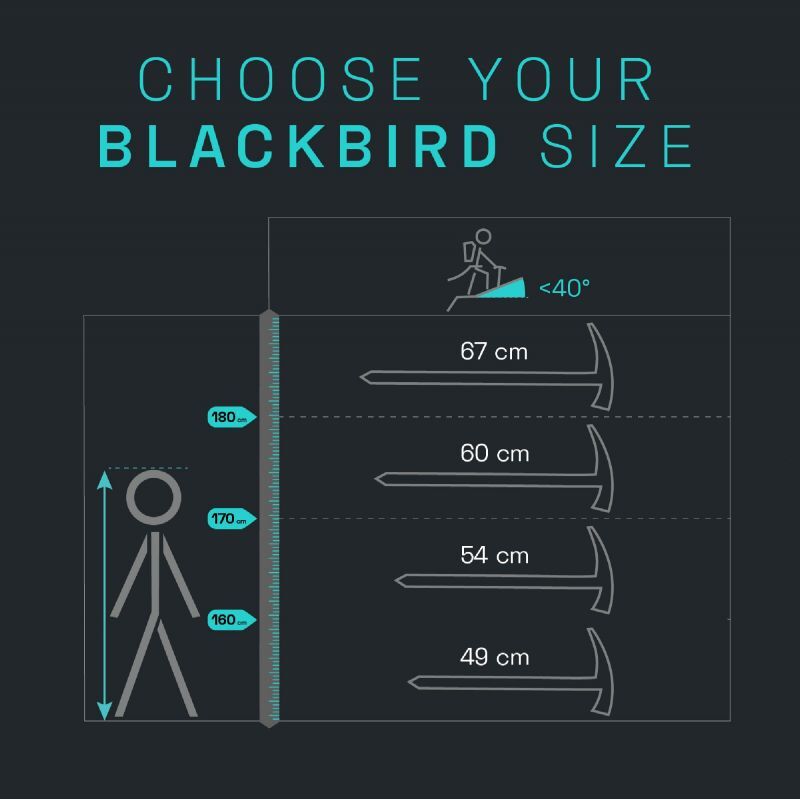 Blue Ice Blackbird - Cepín | Hardloop