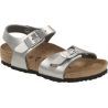 Electric Metallic Silver