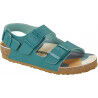 Desert Soil Dark Teal / Camo