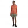 Icebreaker Merino 260 Quantum IV LS Zip Hoodie - Merino hoodie - Women's | Hardloop