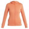 Icebreaker Merino 260 Quantum IV LS Zip Hoodie - Merino hoodie - Women's | Hardloop