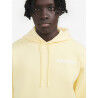 Aigle Sweatshirt brossé avec capuche - Sweatshirt à capuche homme | Hardloop