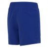Nike Essential Lap 4" Volley Short - Boardshorts - Kid's | Hardloop