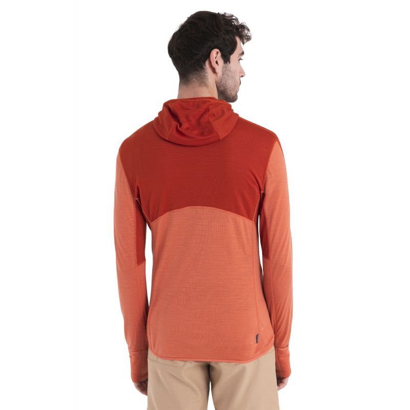 Sweats à capuche Icebreaker homme