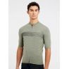 Artichoke green
