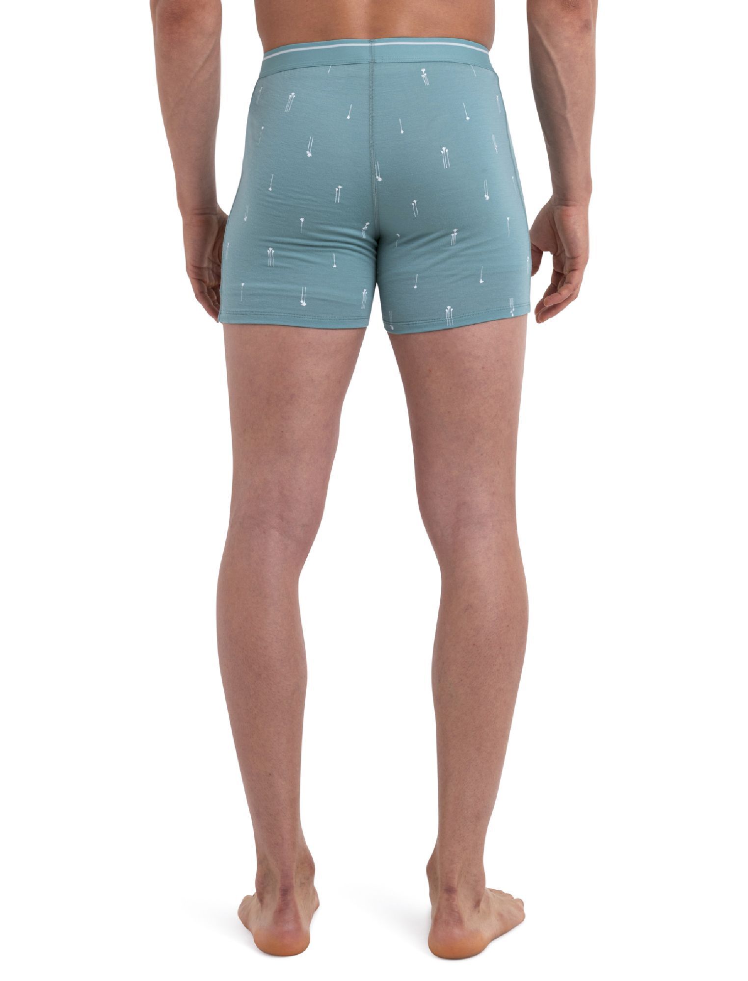 Icebreaker Merino Anatomica Boxers Palm Trail AOP - Merino Wool Boxer | Hardloop