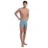 Icebreaker Merino Anatomica Boxers Palm Trail AOP - Merino Wool Boxer | Hardloop