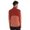 Icebreaker Merino 200 RealFleece Descender LS Half Zip - Giacca in pile di merino - Uomo | Hardloop
