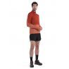 Icebreaker Merino 200 RealFleece Descender LS Half Zip - Giacca in pile di merino - Uomo | Hardloop