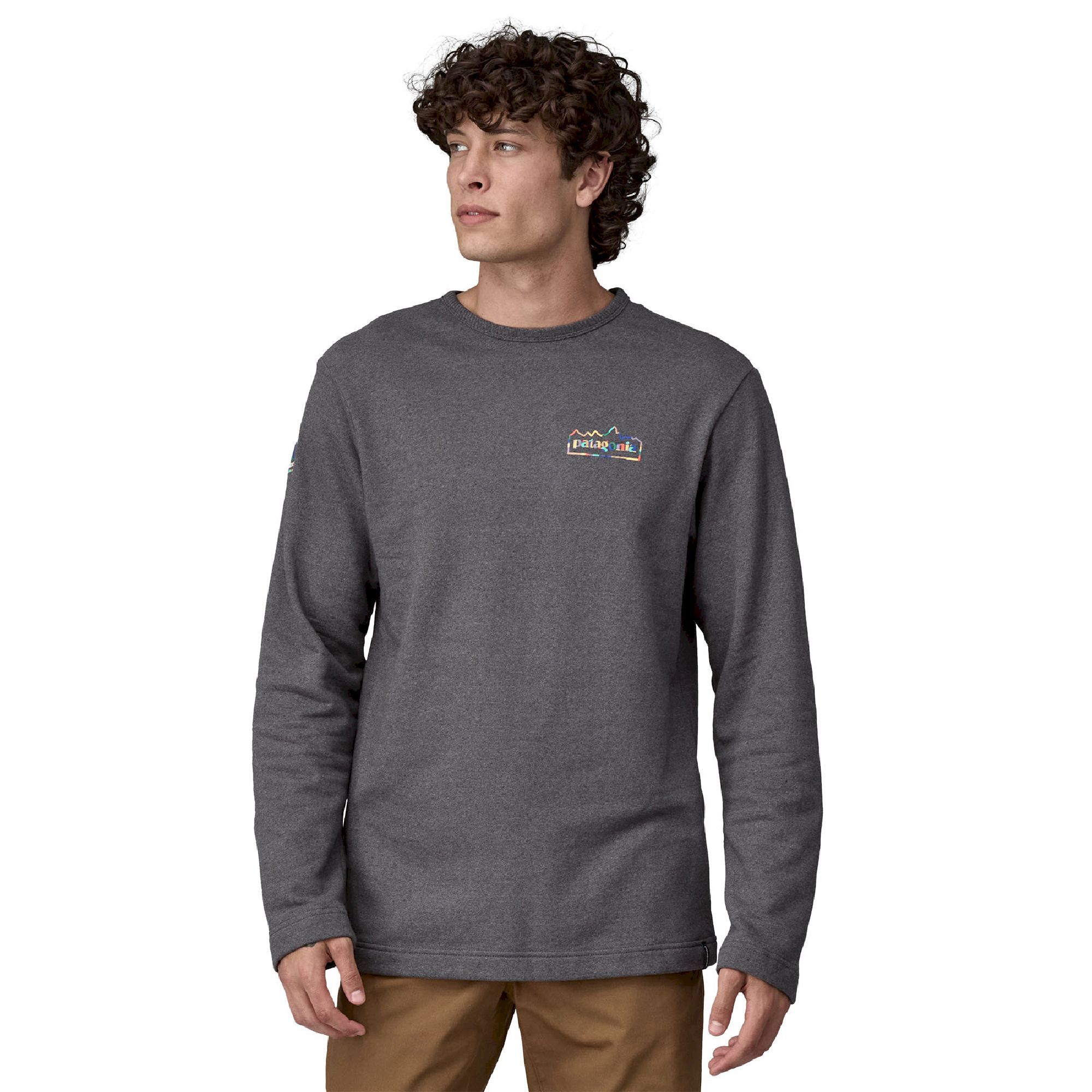 Patagonia LW Unity Fitz Roy Wildrise Crew - T-shirt - Men's | Hardloop