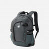 Castor Grey