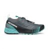 Anthracite / Blue