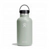 Agave