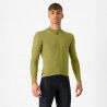 Sage / Deep Green