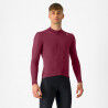 Deep Bordeaux
