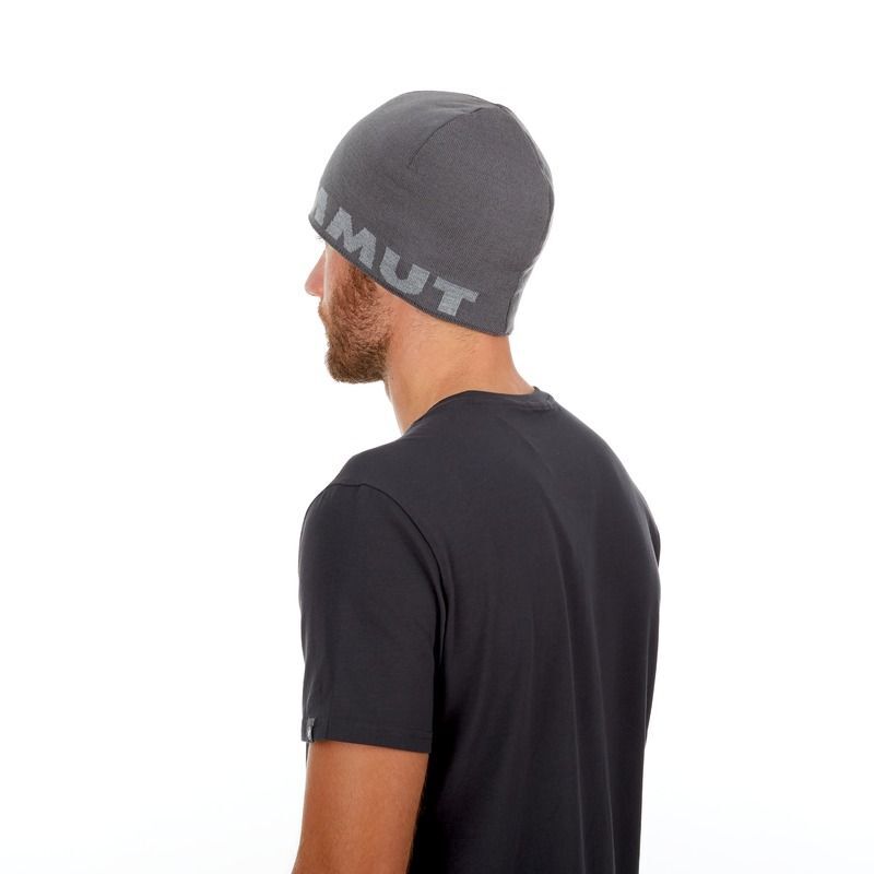 Mammut Mammut Logo Beanie - Mütze