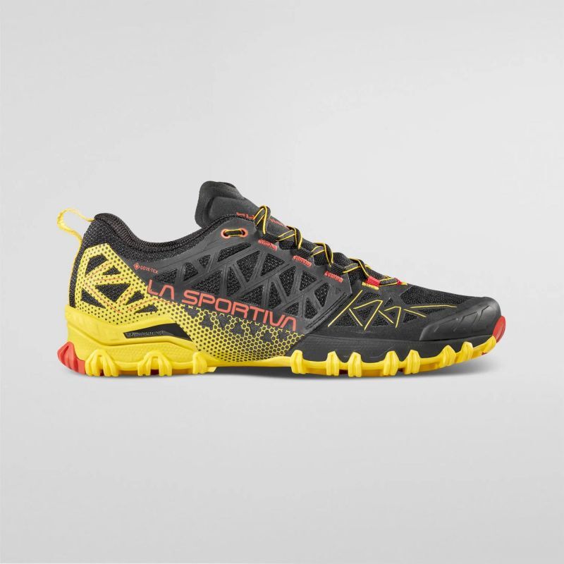 Bushido II GTX - Chaussures trail homme
